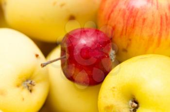 ripe juicy apples as background