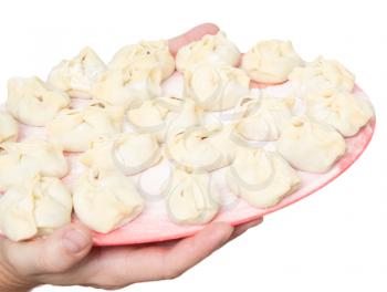 dumplings in a hand on a white background
