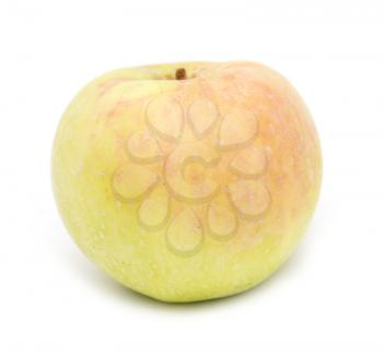 yellow apple on a white background