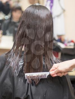 combing the hair in a beauty salon