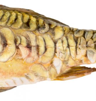 scales of a carp as a background. macro