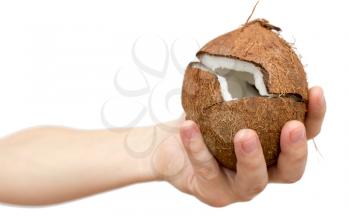 Coconut in hand on a white background