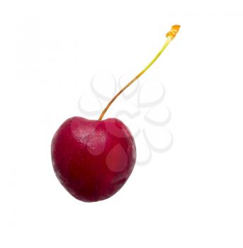 red cherries on a white background