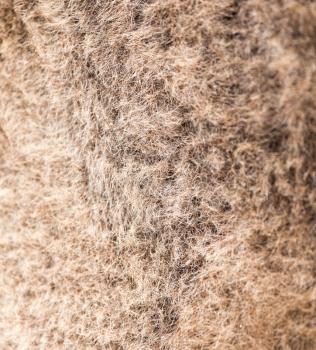 camel wool as background