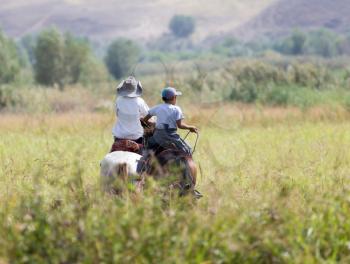 Two boys on a horse on nature