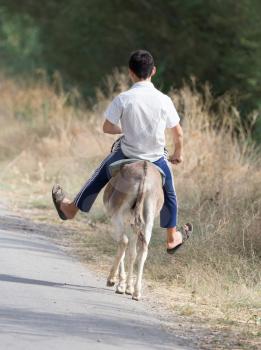 boy rides on a donkey on the road