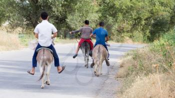 three boys on a donkey rides on the road