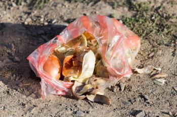 peel onions in nature as garbage