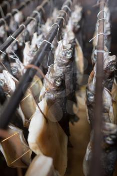 production of smoked fish