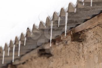 icicles on winter nature