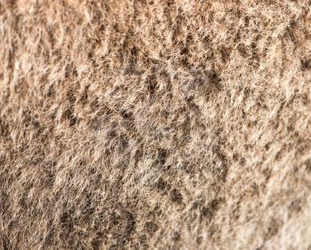 camel wool as background