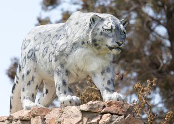 monument snow leopard