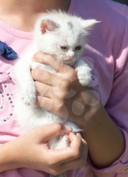 little white kitten in her arms