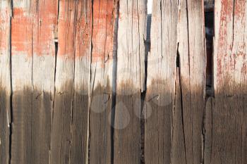 old wooden fence as a backdrop
