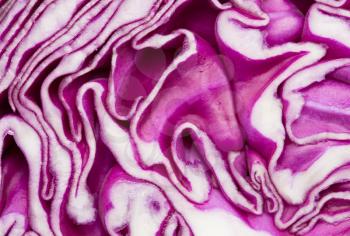 Red cabbage as background