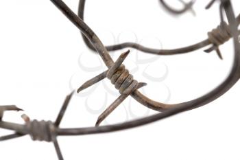 Barbed wire on a white background. macro