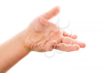 One child's hand on a white background