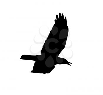 silhouette of a black crow on a white background .