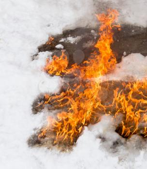 fiery flame on the white snow in winter .