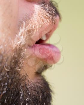 Hair of a man with a beard and mustache. macro