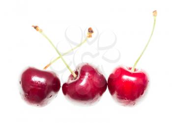 Juicy red cherry on a white background .