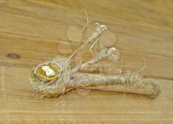 Miniature of nature - beeswax, twigs, shells of hazelnuts, seed