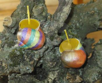 Hand painted beeswax candles votives in snail shell