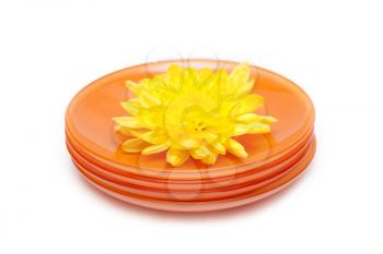 Royalty Free Photo of a Flower on a Plate