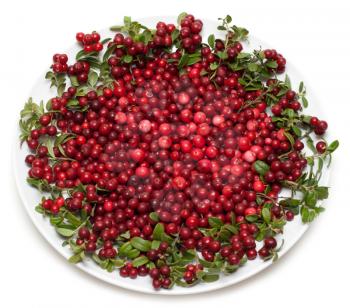 Royalty Free Photo of a Plate of Cowberries