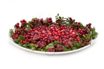 Royalty Free Photo of a Plate of Cowberries