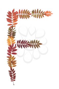 Royalty Free Photo of a Letter Made From Leaves