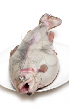 Royalty Free Photo of a Fish on a Plate