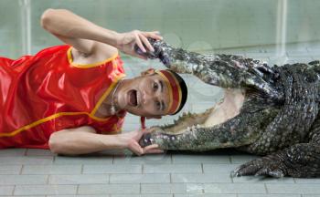 Royalty Free Photo of a Man Holding a Crocodile's Mouth Open