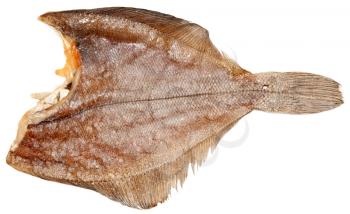 Royalty Free Photo of a Dried Fish