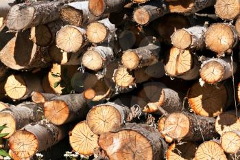 Royalty Free Photo of a Stack of Firewood