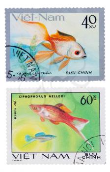 postage stamp with a picture of the fish