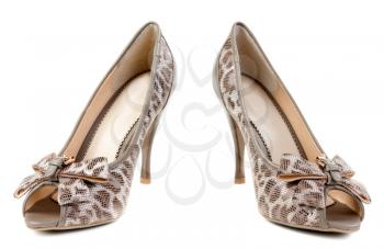 A pair of female leopard shoes in the studio on a white background