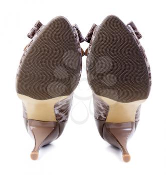 A pair of female leopard shoes in the studio on a white background