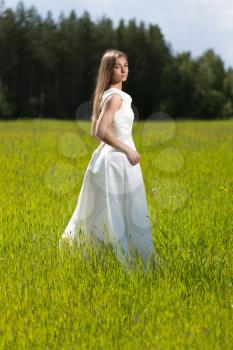 Beautiful girl in a wedding dress in the field.