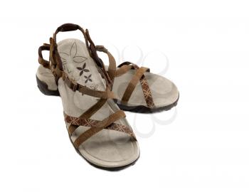 pair of women's sandals brown. Isolate on white.