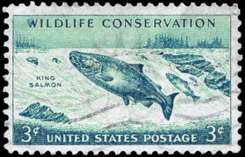 Royalty Free Photo of 1956 US Stamp Shows King Salmon, Wildlife Conservation issue