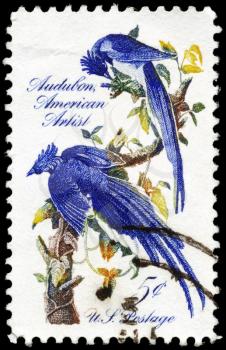 Royalty Free Photo of 1963 US Stamp Shows the Columbia Jays, by John James Audubon (1785-1851), Ornithologist and Artist