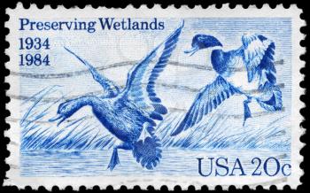 Royalty Free Photo of 1984 US Stamp Shows Mallards Dropping In by Jay N. Darling, 50th Anniversary of Waterfowl Preservation Act