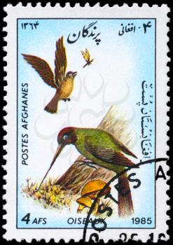 AFGHANISTAN - CIRCA 1985: A Stamp shows image of a Plover and Hummingbird from the series Birds, circa 1985