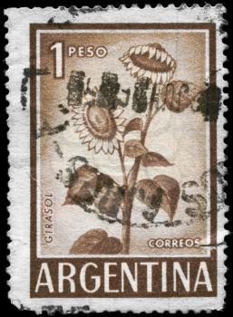 ARGENTINA - circa 1961: A Stamp printed in ARGENTINA shows image of the Sunflower, circa 1961