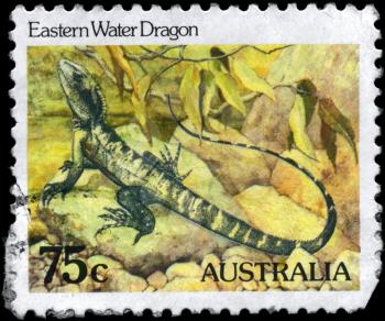 AUSTRALIA - CIRCA 1984: A Stamp printed in AUSTRALIA shows the image of a Eastern Water Dragon, series, circa 1984
