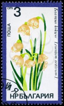 BULGARIA - CIRCA 1982: A Stamp shows image of a Summer Snowflake with the designation Leucojum aestivum L., series, circa 1982