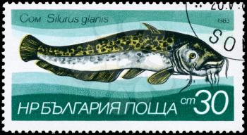 BULGARIA - CIRCA 1983: A Stamp printed in BULGARIA shows image of a Catfish, with the description Silurus glanis from the series Fresh-water Fish, circa 1983