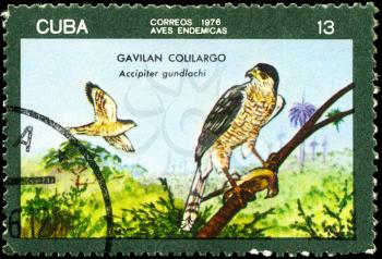 CUBA - CIRCA 1976: A Stamp printed in CUBA shows image of a Accipiter with the designation Accipiter gundlachi from the series Indigenous Birds, circa 1976