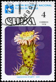 CUBA - CIRCA 1978: A Stamp printed in CUBA shows image of a Leptocereus wrightii, from the series Cactus Flowers, circa 1978